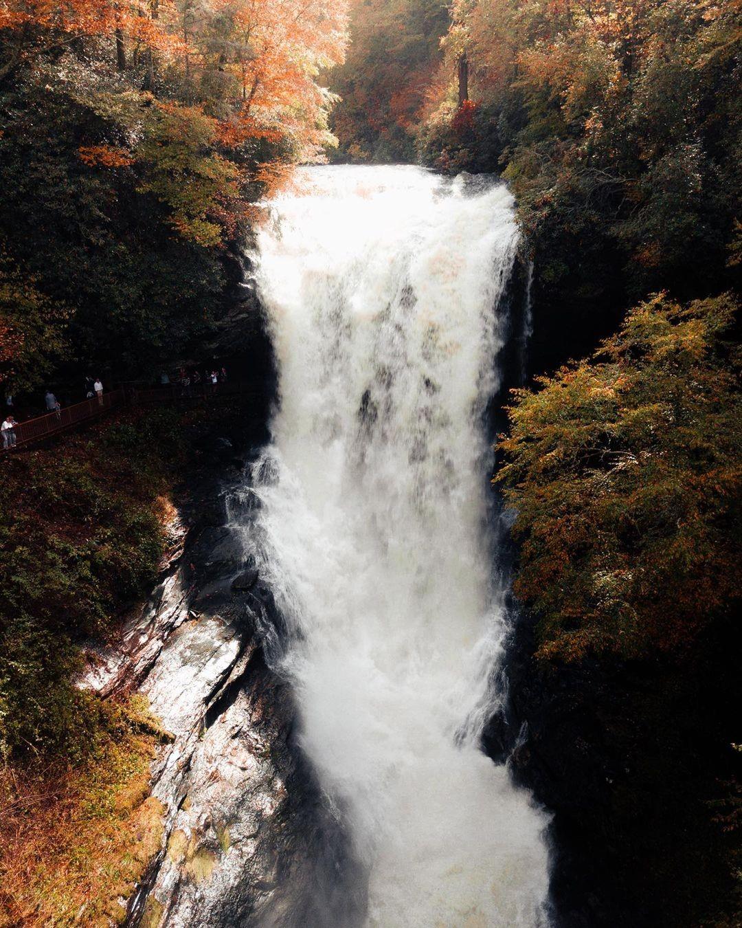 We heard somewhere that Free Fallin' by @tompettyofficial was written about #HighlandsNC 😉

📸: @thejeffbean
.
.
#VisitHighlandsNC #HeightOfHappiness #NorthCarolina #instagood #HighlandsNC #NCMountains #northcarolina #visitnc #discoverthecarolinas