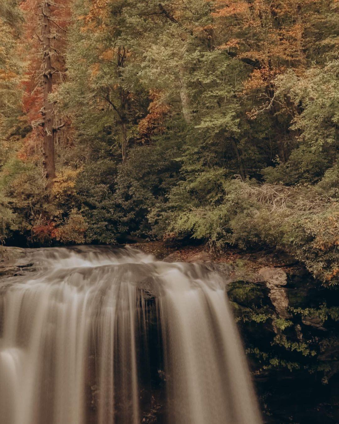 Our favorite color palette 🧶🍃🍯♥️

📸: @failing.fabulously
.
.
#VisitHighlandsNC #HeightOfHappiness #NorthCarolina #instagood #HighlandsNC #NCMountains #northcarolina #visitnc #discoverthecarolinas