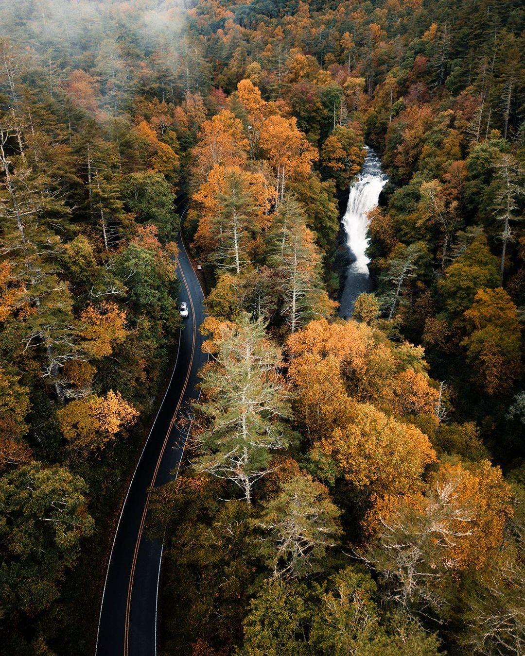 We're thankful for autumn trees and the Blue Ridge Mountain breeze 🍂 What are you thankful for? ⤵️

We hope you're having a wonderful Thanksgiving! 

📸: @thejeffbean
.
.
#VisitHighlandsNC #HeightOfHappiness #NorthCarolina #instagood #HighlandsNC #NCMountains #northcarolina #visitnc #discoverthecarolinas
