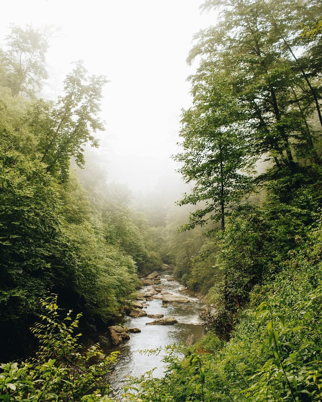 Find your perfect fishing spot 🎣

Head to the link in our bio to learn all about fishing in #HighlandsNC 🔗
.
.
.
#VisitHighlandsNC #HeightOfHappiness #NorthCarolina #instagood #HighlandsNC #NCMountains #northcarolina #visitnc #discoverthecarolinas