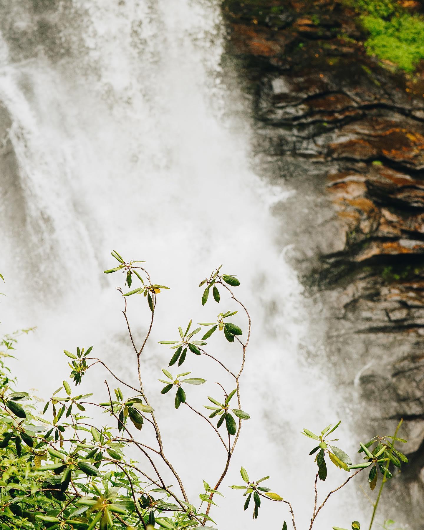 With its ancient granite mountains and abundant rainfall, it’s no surprise that #HighlandsNC has become a national waterfall destination. ⠀