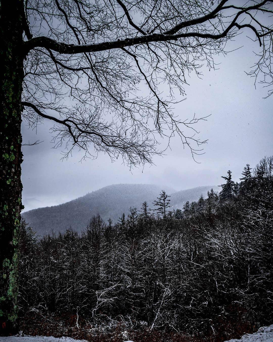 Wishing you a very merry + cozy Christmas from #HighlandsNC!🎄

How are you celebrating the holidays? ⬇️

📸: @_davidwaynejackson_
.
.
#VisitHighlandsNC #HeightOfHappiness #NorthCarolina #instagood #HighlandsNC #NCMountains #northcarolina #visitnc #discoverthecarolinas
