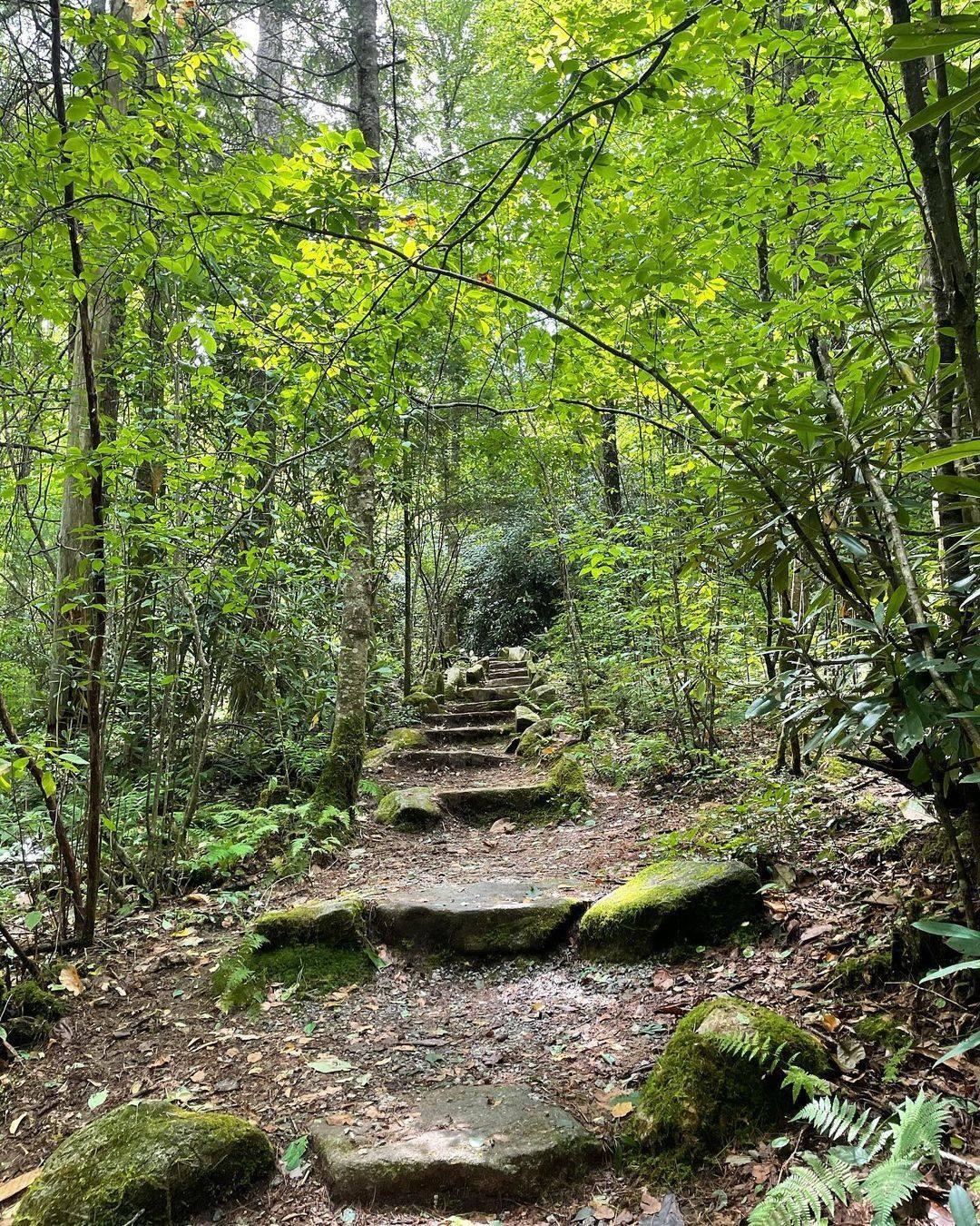 Take only memories and leave only footprints 💚👣

📸: @danyelnicole
.
.
#VisitHighlandsNC #HeightOfHappiness #NorthCarolina #instagood #HighlandsNC #NCMountains #northcarolina #visitnc #discoverthecarolinas