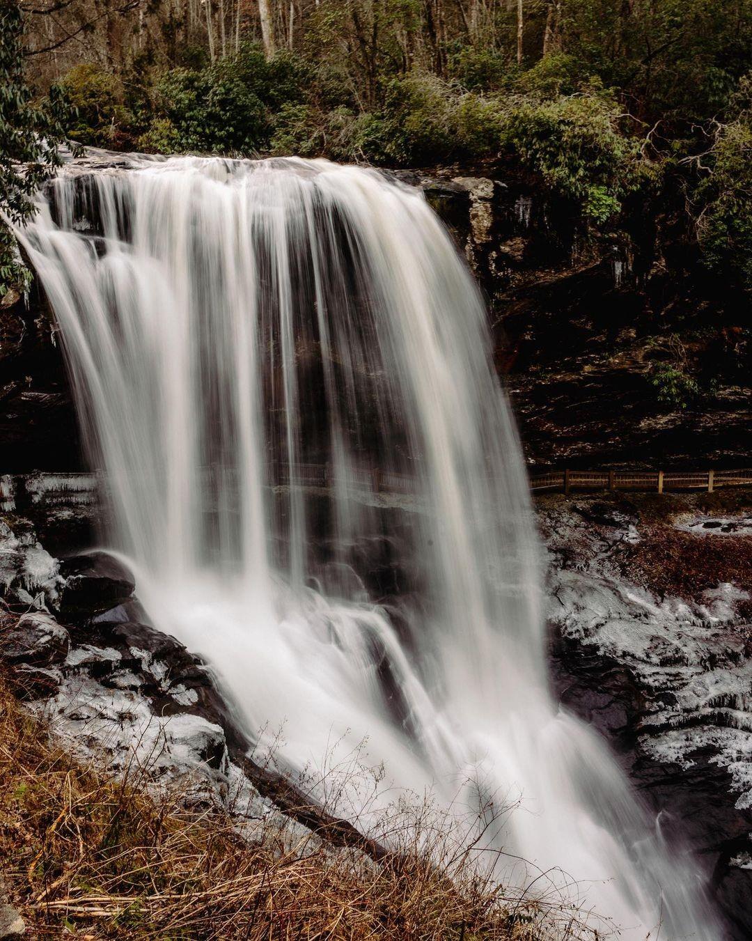 We spy some green leaves and melting snow... 🌱

Could spring be finally approaching!?

📸: @we.the.wanderers