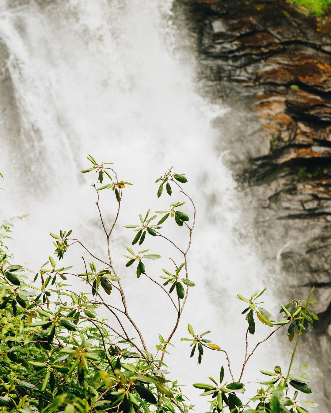 “Just let go – and fall like a little waterfall.” – Bob Ross 👨‍🎨
.
.
#VisitHighlandsNC #HeightOfHappiness #NorthCarolina #instagood #HighlandsNC #NCMountains #northcarolina #visitnc #discoverthecarolinas