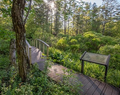 🥾Take a Walk - Wednesday, June 21 | 12 p.m. 🌺
Each Wednesday at 12 p.m., enjoy a walk through the Highlands Botanical Gardens with knowledgeable guides, viewing beautiful native plant life in diverse habitats.