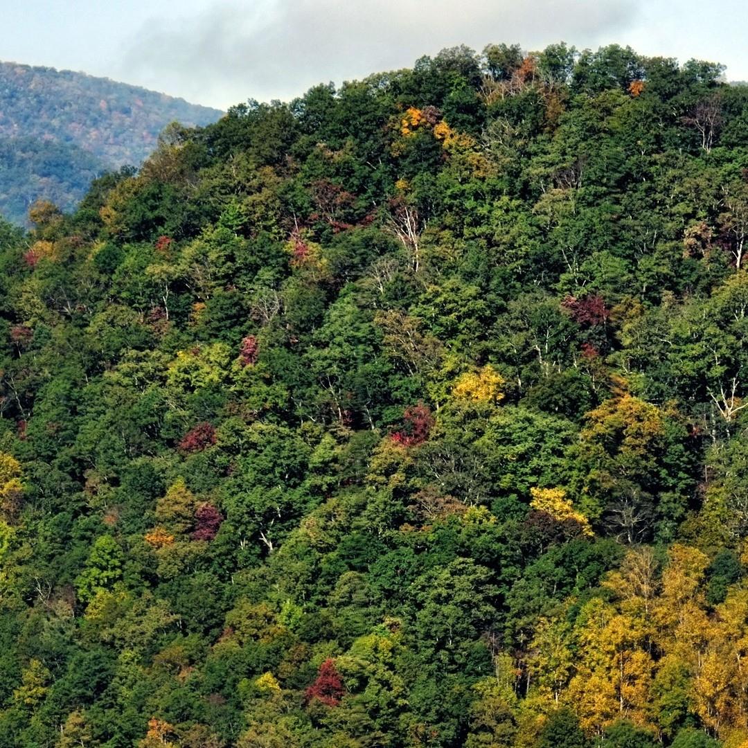 Swipe for incredible views 👉
.
.
#VisitHighlandsNC #HeightOfHappiness #NorthCarolina #instagood #HighlandsNC #NCMountains #northcarolina #visitnc #discoverthecarolinas