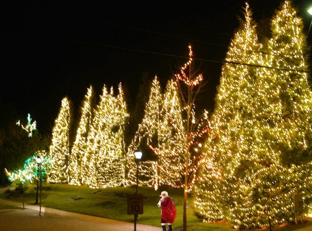 🕰️ Counting down the hours until we Light Up the Park & Main! 
TONIGHT! | 6 - 8 p.m. | Kelsey-Hutchinson Founders Park | #HighlandsNC

#VisitHighlandsNC #HeightofHappiness