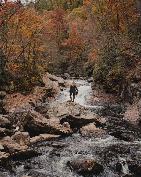 The sun shines not on us but in us. The rivers flow not past, but through us. Thrilling, tingling, vibrating every fiber and cell of the substance of our bodies, making them glide and sing. The trees wave and the flowers bloom in our bodies as well as our souls, and every bird song, wind song, and tremendous storm song of the rocks in the heart of the mountains is our song, our very own, and sings our love. — John Muir

#highlandsnc #visithighlandsnc #heightofhappiness 

📷: @jessicawillisfisher