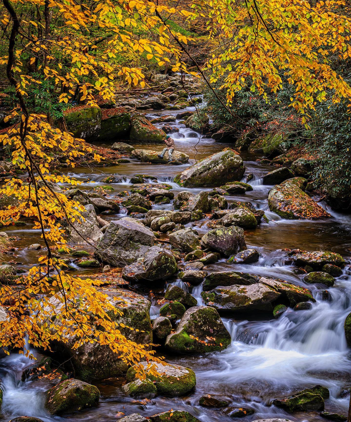 Member Spotlight: Brookings Anglers ⠀
⠀
As the dog days of summer encroach, consider cooling off in a trout stream with Brookings!  Fly shops in Highlands and Cashiers, with experienced fly fishing guides on staff to help ensure your time on the water is successful. ⠀