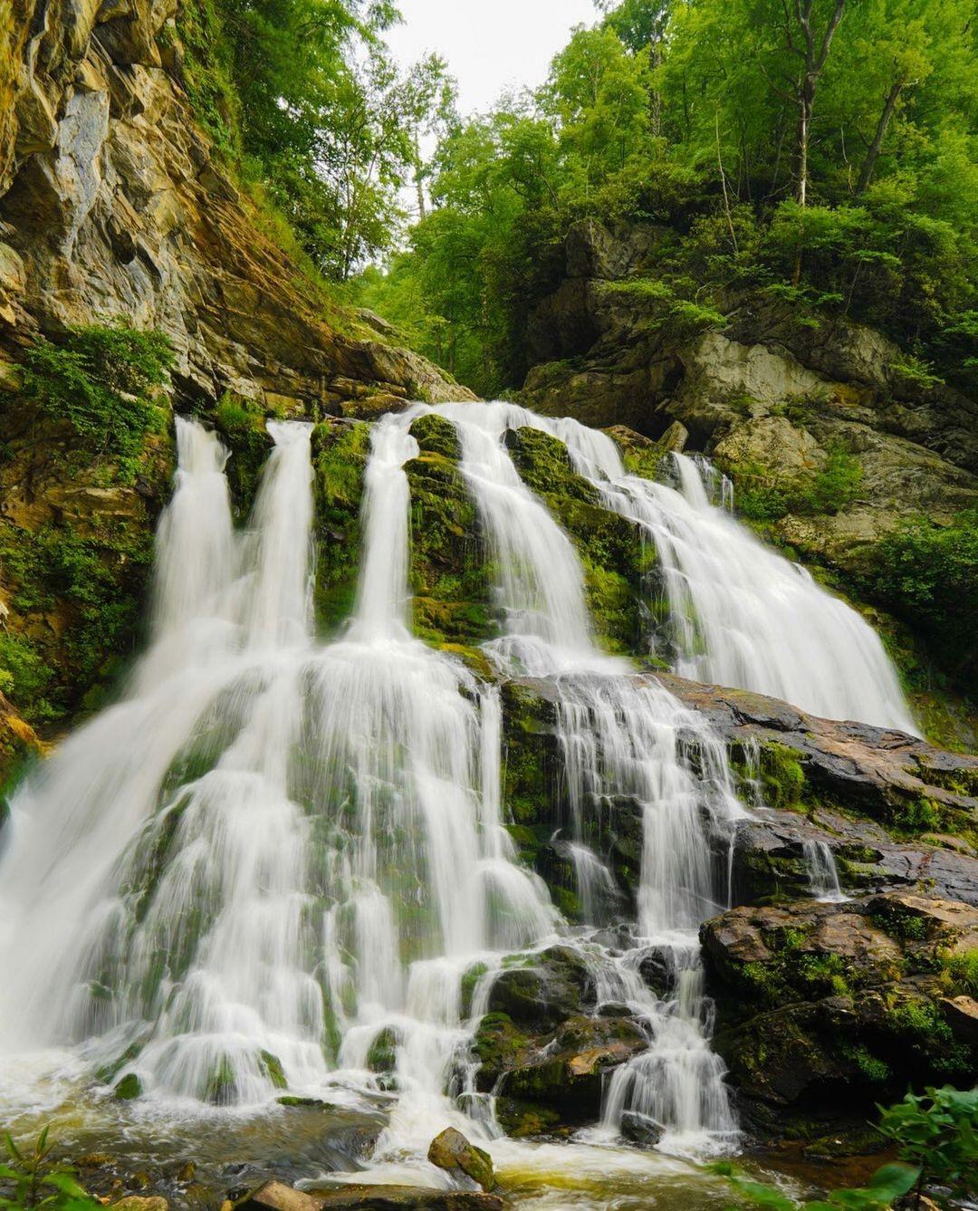 “There is a hidden message in every waterfall. It says, if you are flexible, falling will not hurt you!” Mehmet Murat Ildan

📸: @placidspaces
.
.
#VisitHighlandsNC #HeightOfHappiness #NorthCarolina #instagood #HighlandsNC #NCMountains #northcarolina #visitnc #discoverthecarolinas