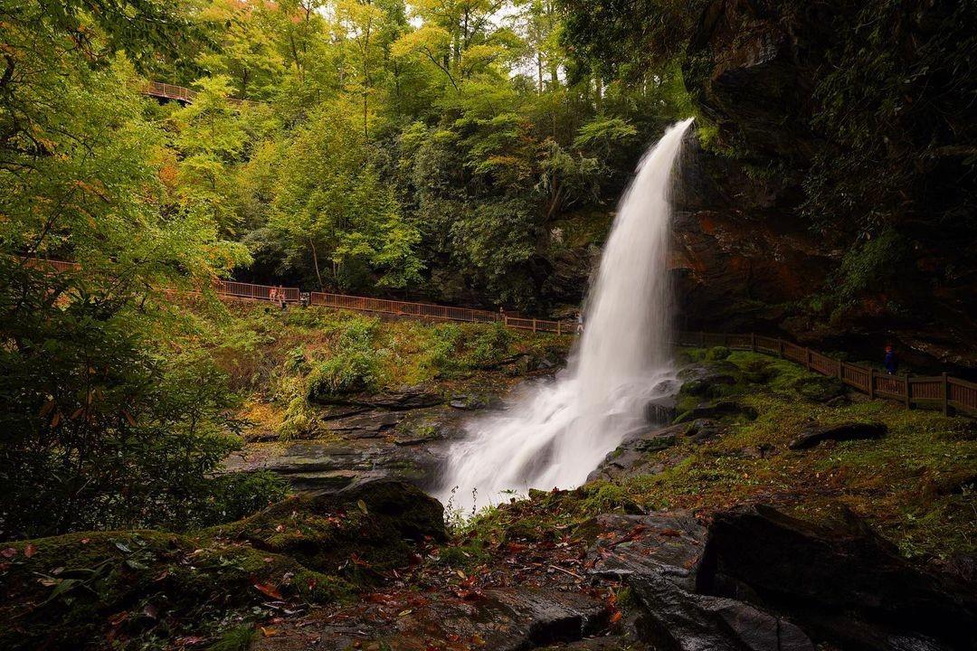 The only place we'd want to be on #WorldEnvironmentDay is #HighlandsNC 🌱

📸: @taylorledford25

#HeightOfHappiness
