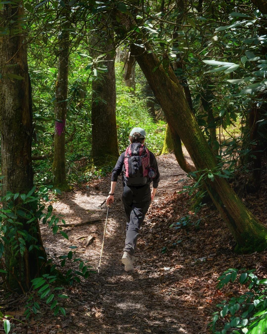 Celebrate #NationalTrailsDay tomorrow as it coincides with #YearoftheTrail in North Carolina! What other sign do you need to get out on the trails tomorrow?