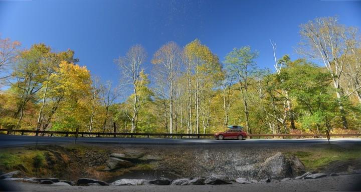 Join us at our annual Plateau Pickup to keep these roads looking beautiful! Click ➡️ link in profile or call the Chamber 828-526-2112!