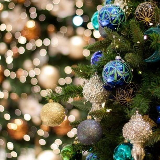 🎄 To honor the holidays, the Highlands Welcome Center and our offices will be closed Dec. 23 - 26, Dec. 30 - 31 and Jan. 1.

#highlandsncchamber #highlandsnc #heightofhappiness

#highlandsncchamber #highlandsnc #heightofhappiness