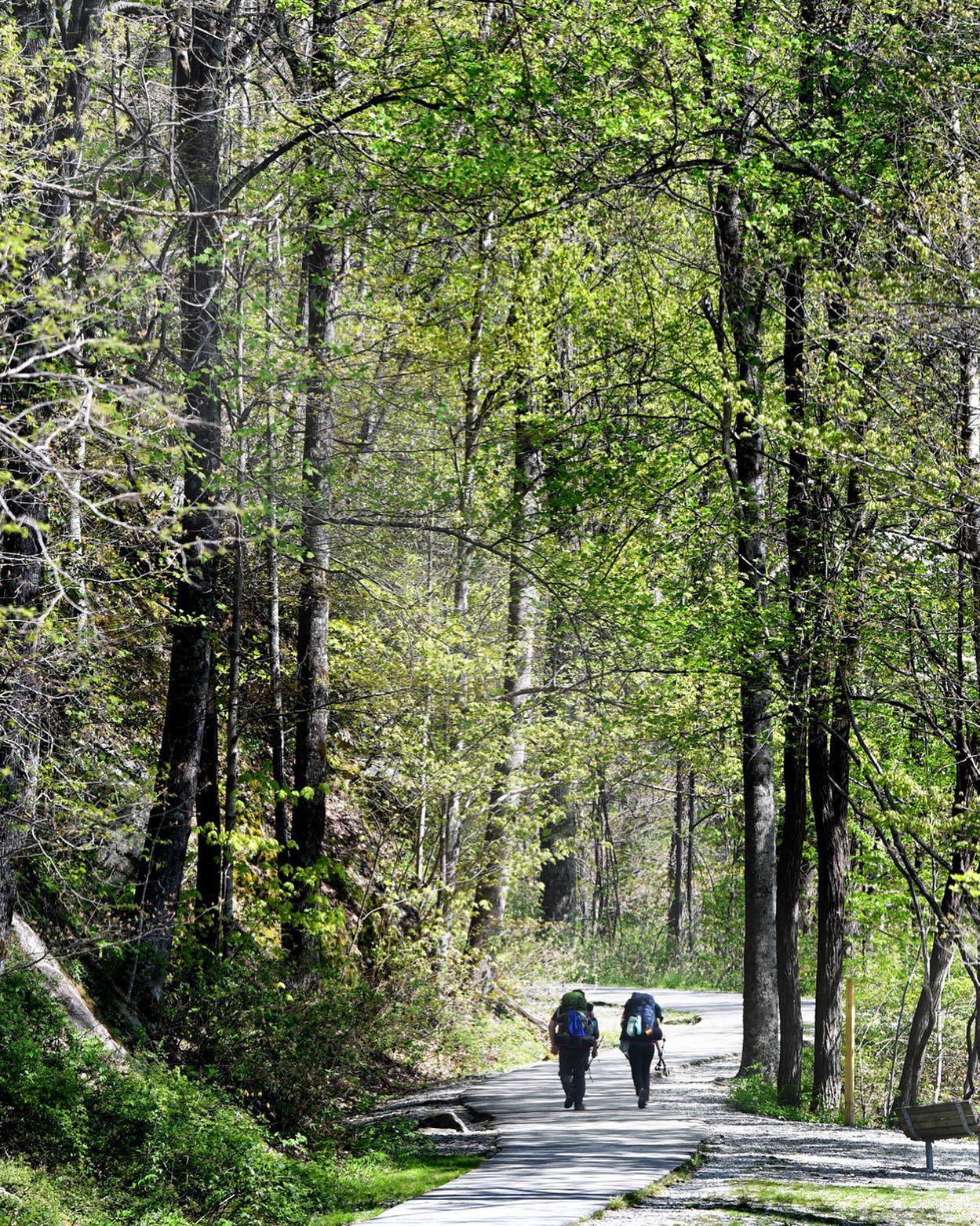 Take the time to unplug at the #heightofhappiness

#Nationaldayofunplugging #heightofhappiness #visithighlandsnc