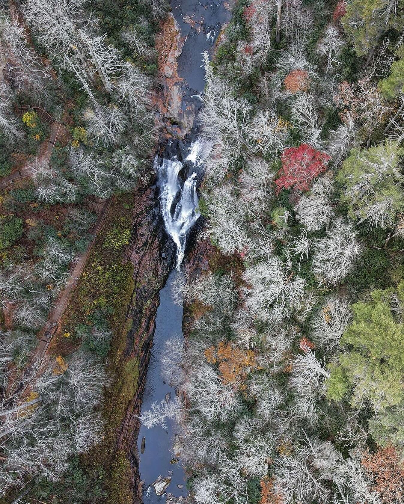 The leaves may be gone but stunning mountain views are here to stay. ⛰️ 💙