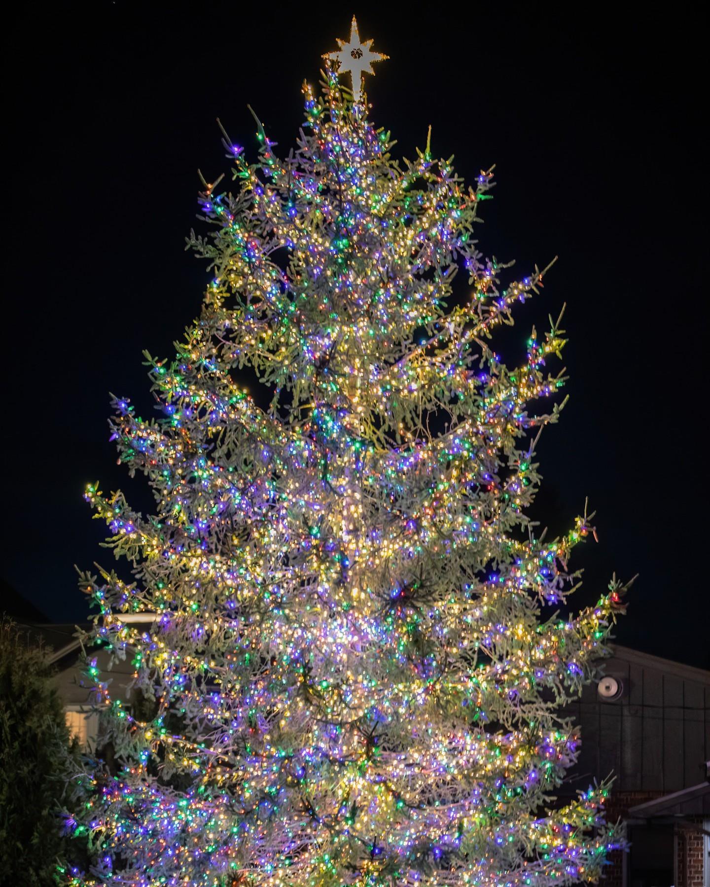 November is here! That means Holidays in Highlands are just around the corner. Swipe to see November events and happenings and make sure to add these Holiday events to your calendar! ⬇️
⛸️Ice Skating in the Park: November 16 – March 7 | Wednesdays – Sundays
🎄Light Up the Park & Main: Saturday, November 25 | 6 – 8 p.m.
🎅Santa in the Park: December 2, 9 & 16
🎁Highlands Christmas Parade: Saturday, December 2 | 10 a.m. – 12 p.m.
🕎Lighting of the Menorah: Thursday, December 7 | 5:30 p.m.