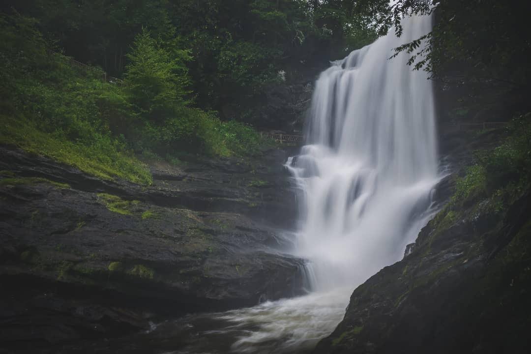 Summer in #Highlands — how we *mist* you!

📸: @horseinabar

#HeightOfHappiness