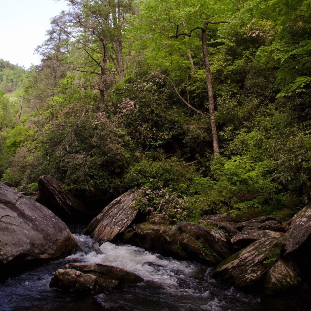 “A father is neither an anchor to hold us back nor a sail to take us there, but a guiding light whose love shows us the way.” – Unknown

Happy #FathersDay from #HighlandsNC 💚
.
.
#VisitHighlandsNC #HeightOfHappiness #NorthCarolina #instagood #HighlandsNC #NCMountains #northcarolina #visitnc #discoverthecarolinas"