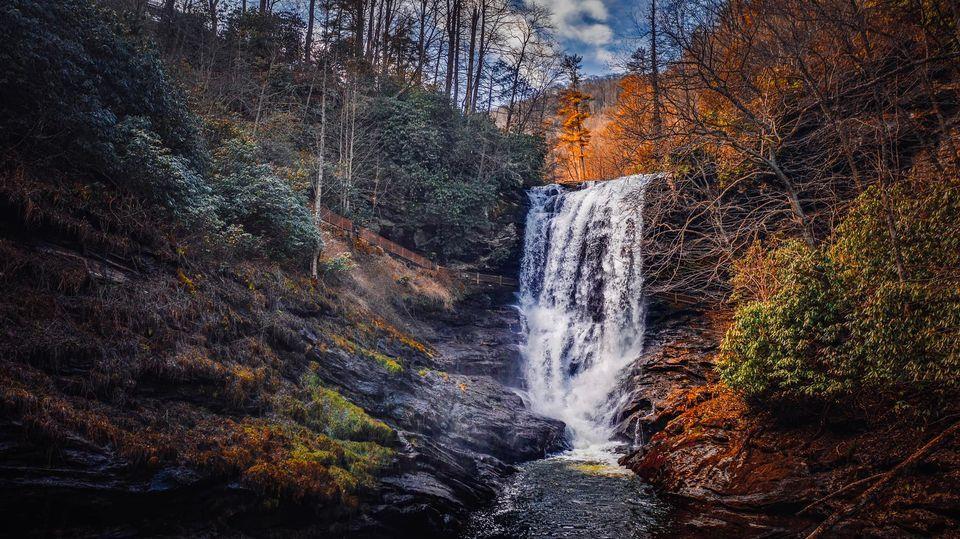 Did you resolve to spend more time in nature in 2023? We can help you with that. 🌲