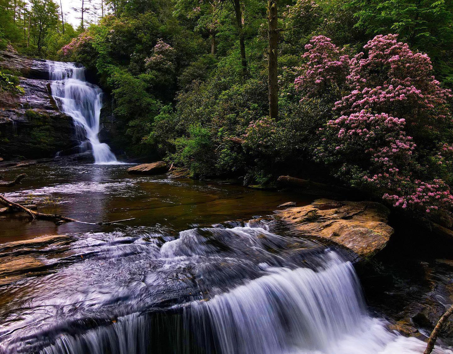 🤫 We're spilling the secrets on SECRET FALLS (Big Shoals Falls) 
Get out and celebrate the Year of the Trail with this hike to a beautiful waterfall! 
From Main Street in Highlands, head down South 4th Street (it becomes Highway 28). Follow this road for 4.1 miles to Wilson Gap and take a left onto Rich Gap Road. Drive for 0.6 miles and then turn right onto Forest Service Road FR45670. Then follow this unpaved road for 1.75 miles to the "Big Shoals" (Secret Falls) parking area on the left! The trail is an old roadbed and then turns into a walking path, it descends to an old road where it crosses a creek. Take a right and follow this road. After a short distance, the trail turns left and leaves the roadbed. When you get closer to the waterfall, the trail will narrow and split. Continue straight on the main trail to the top of the falls. Head down the rough, steep final part of the trail until you reach the base of Secret Falls!
Have you been to Secret Falls?
📸: Captured by @efetty704