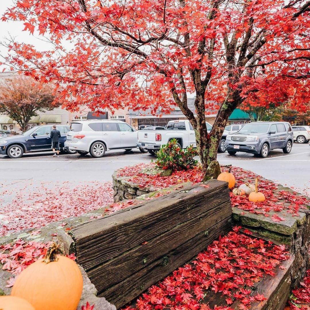 Reds, oranges, and yellows — Oh my! 🍁 What's your favorite season in #HighlandsNC? #TBT
.
.
#VisitHighlandsNC #HeightOfHappiness #NorthCarolina #instagood #HighlandsNC #NCMountains #northcarolina #visitnc #discoverthecarolinas