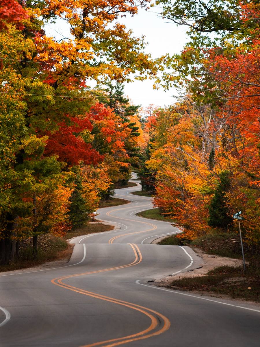 The famous “Curvy Road” in Door County covered in fall colors 🍁 swipe ➡️ to see it from above !