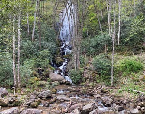 🥾West Fork of the Tuck Waterfalls EcoTour🥾
Friday, June 24 |  9:30am
Join Highlands Cashiers Land Trust for a guided hike to view two beautiful waterfalls that flow into the West Fork of the Tuckasegee Gorge. We will start our adventure at the Shoal Creek Road trail entrance and hike a trail through a rich cove forest along the river.