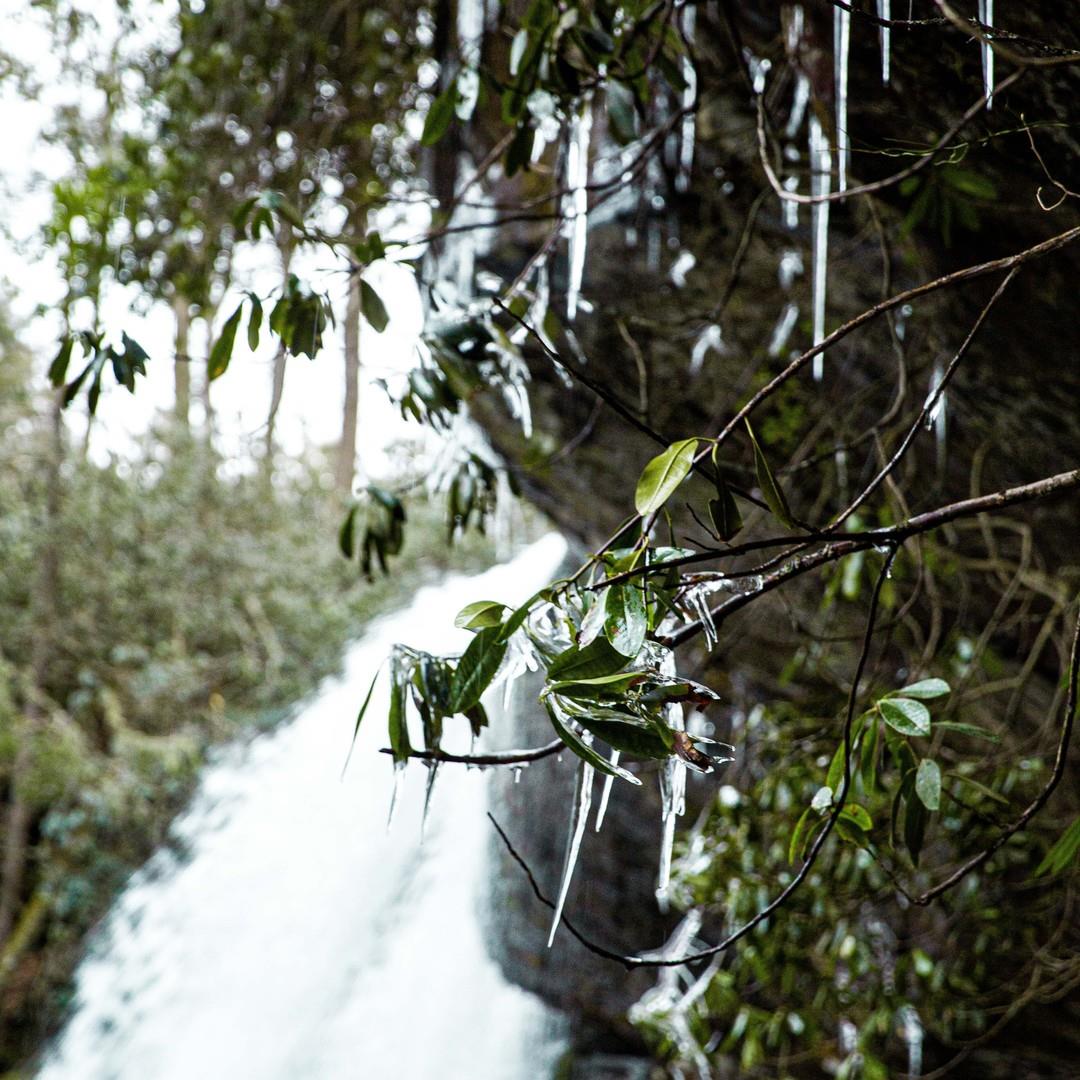 A winter wonderland waterfall straight out of our dreams ❄️💭

How many icicles do you see? 👀