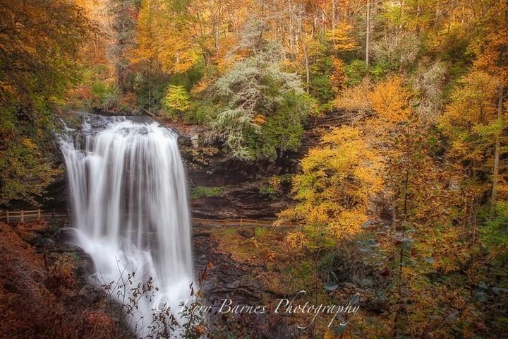 A fall in the fall. 🍂 Who can name this one? 
#HighlandsNC #HighlandsNCWaterfalls #HeightofHappiness #VisitHighlandsNC 
📷: @facebook.com/TBar1956