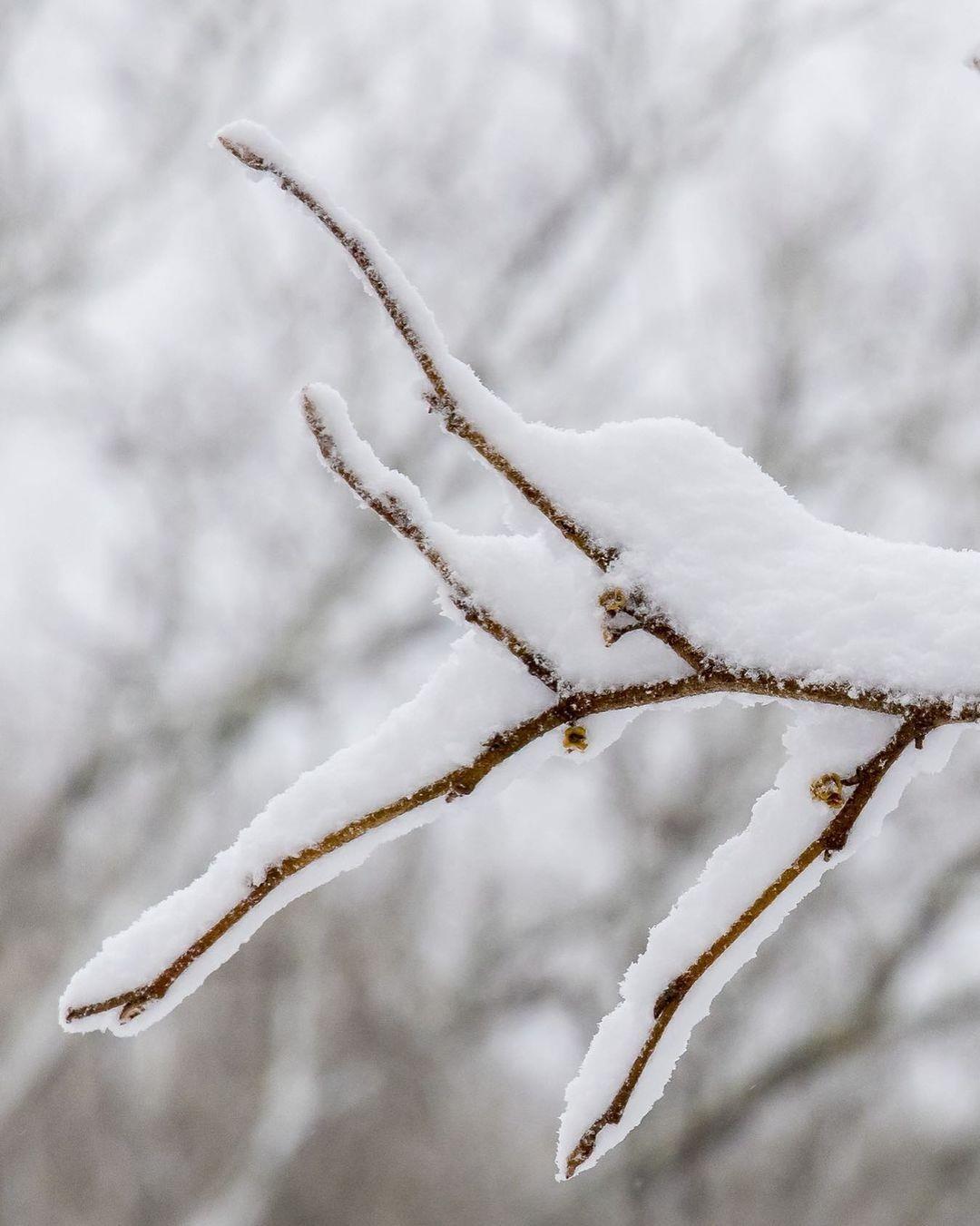 Whether it's a few more weeks of winter, or an early spring, #HighlandsNC is always gorgeous 😍

Happy Groundhog Day!

📸: @cal.holman2