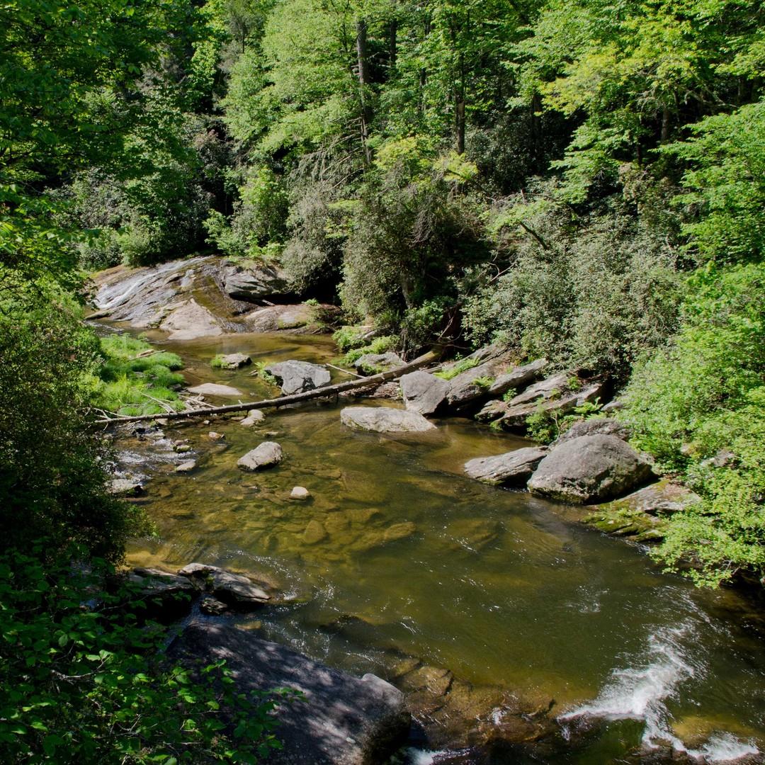 We love finding new, magical spots exploring the #HeightOfHappiness 🏞
.
.
#VisitHighlandsNC #HeightOfHappiness #NorthCarolina #instagood #HighlandsNC #NCMountains #northcarolina #visitnc #discoverthecarolinas