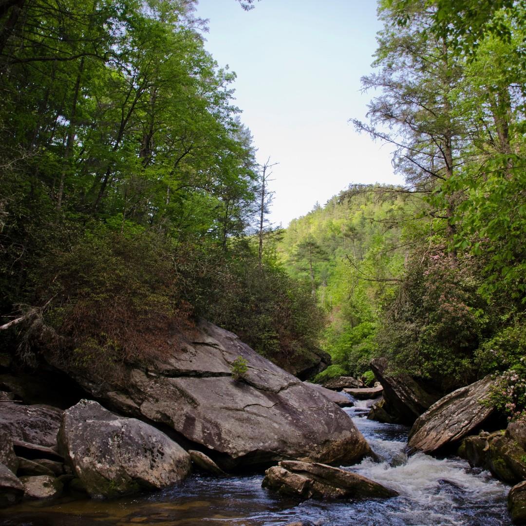 #DYK: Rivers were the original 💧streaming💧 service 😉
.
.
#VisitHighlandsNC #HeightOfHappiness #NorthCarolina #instagood #HighlandsNC #NCMountains #northcarolina #visitnc #discoverthecarolinas