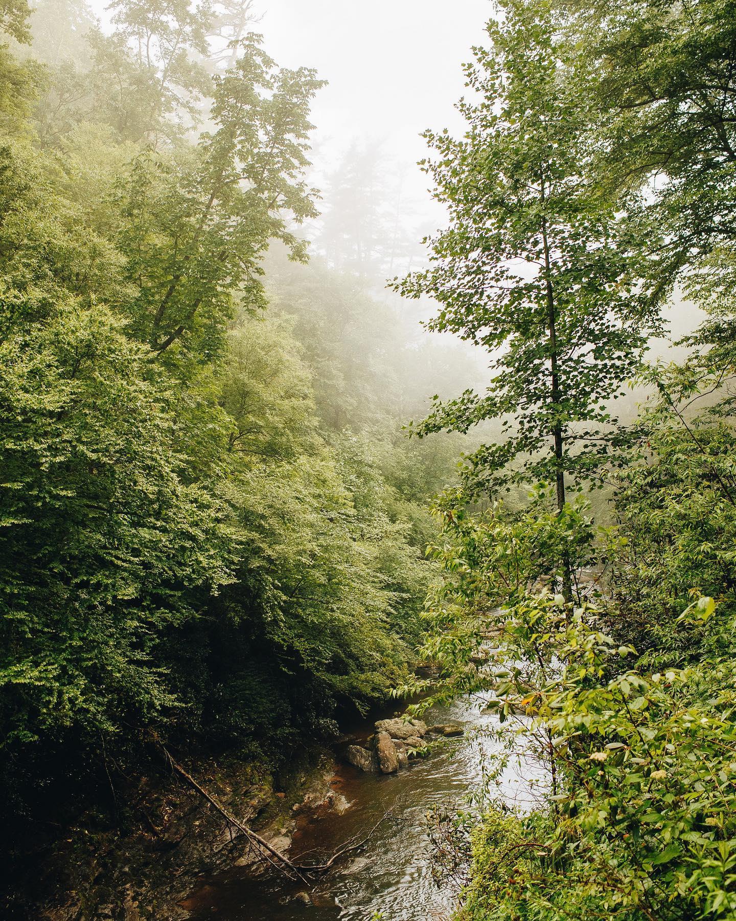Rain or shine, we're feelin' fine in #HighlandsNC ☔️ ⠀
Happy #RainDay! ⠀