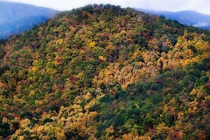 It's #FallEquinox! Who's ready? #MountainFall #AutumnalEquinox #VisitHighlandsNC #HeightofHappiness #HighlandsNC