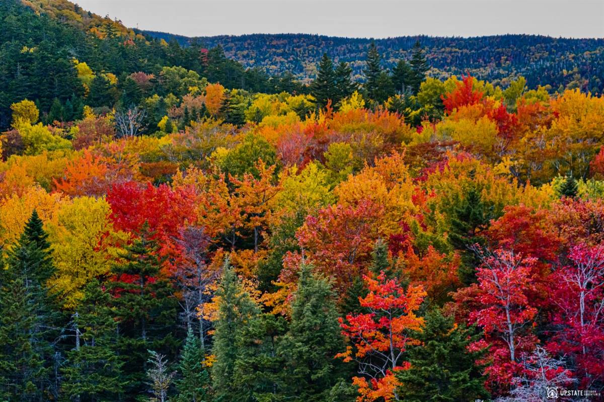 Fall colors on my mind…

Can you guess the state this shot is from?

#travel #autumn #fall #outdoorphotographer naturelover