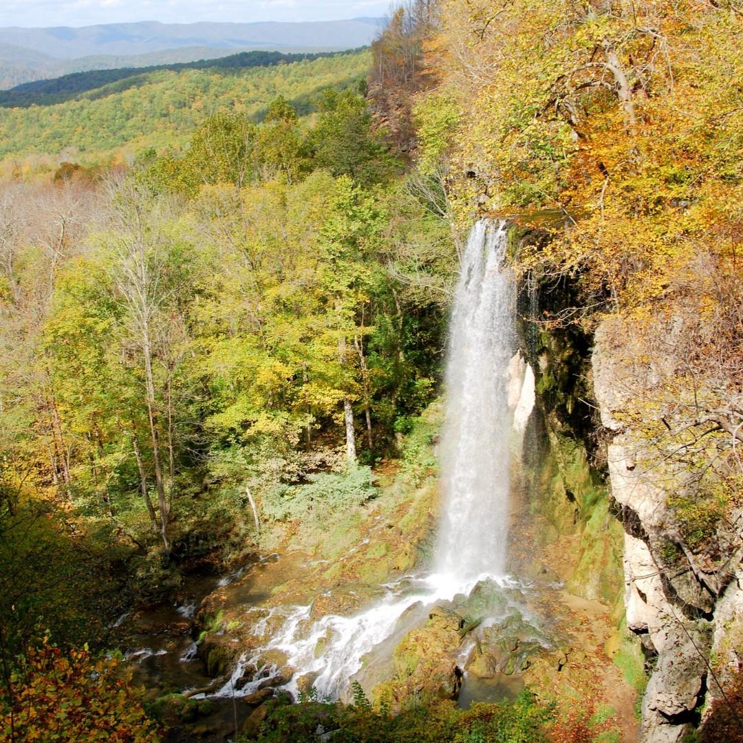 Looking for a fall road trip? Pause at Falling Spring Falls enroute to Douthat State Park for some heart stopping scenery.
.
You can see the falls from a pullout on Route 220, no hiking necessary. These beautiful falls are managed by DCR/Douthat.
.
📍 Douthat State Park is at 14239 Douthat State Park Rd., Millboro, VA. Drive Time: Northern Virginia, four hours; Virginia Beach, five hours; Richmond, three hours; Roanoke, one hour. The scenic waterfall is located on Route 220 in Alleghany County.
.
#vastateparks #40daysoffall
