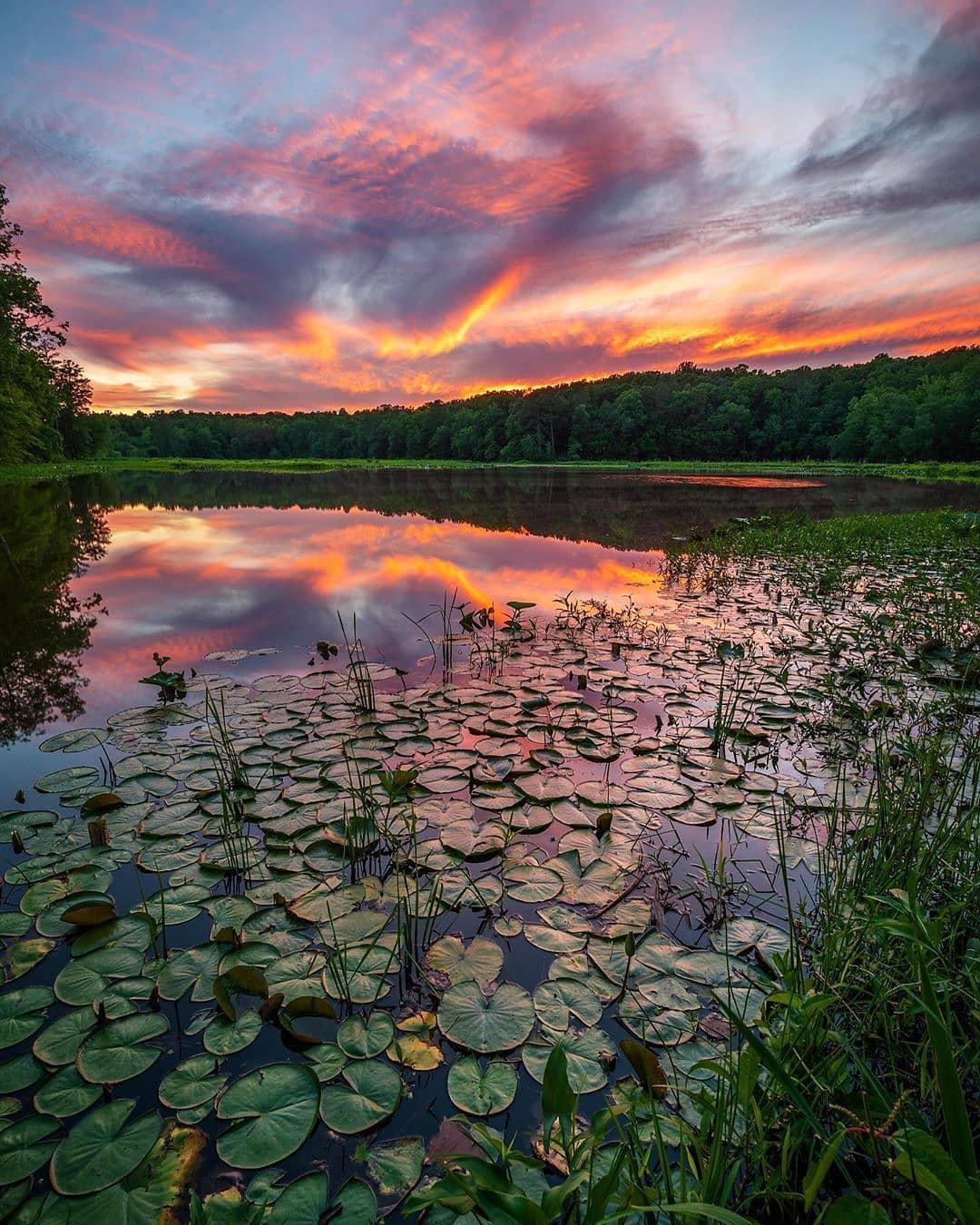 Stunning sunset at Pocahontas State Park. 😍😍😍 📸: kevinjkelleyphoto #VisitRichmond #RVA #LoveVA #sunset #vastateparks