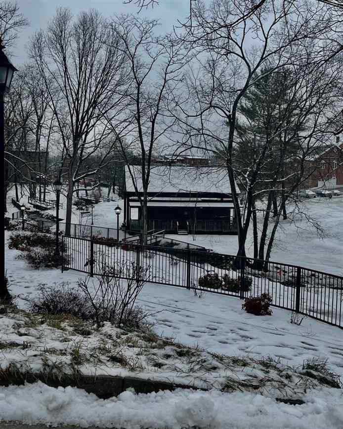 Took a little ❄️ stroll around @downtown_wytheville during our lunch break. It did not disappoint!