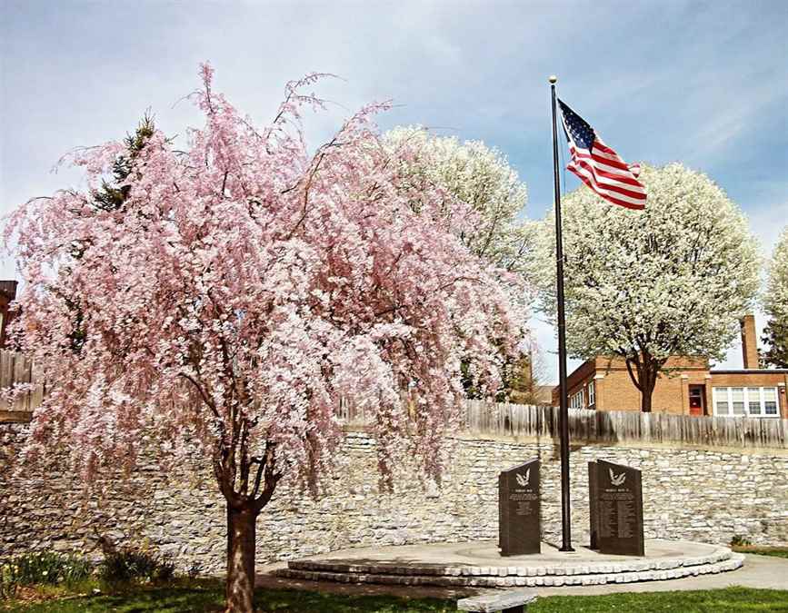 “That is one thing about this world… there are always sure to be more springs.” - Lucy Maude Montgomery Happy first day of spring! 🌷🌸🌞