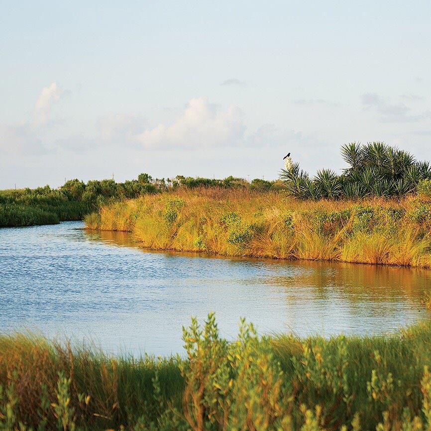 "Far away from the cares of urban life, discover a seaside refuge bursting with life,” says Texas Parks and Wildlife’s interpretive guide to Sea Rim State Park. It is most definitely "bursting with life": the park is home to (or rest stop for) critters ranging from neotropical birds and bobcats to coyotes and alligators. The whole swath of coastal plain between the Louisiana state line and the Bolivar Peninsula is a giant patchwork of wildlife sanctuaries. When you're paddling the marsh there, it’s easy to forget that you’re not alone at the edge of the world, that just beyond the tall reeds are the eternal flames of the refinery flare stacks and tank farms glowing like fire-kissed marshmallows in the sinking sun. (Just don't forget the bug spray.) Read more about what it's like to experience Sea Rim State Park's fragile magic at the link in our bio. 📷: nicksimonite

#searim #searimstatepark #coast #texas #texascoast #igtexas #traveltexas #instagramtexas