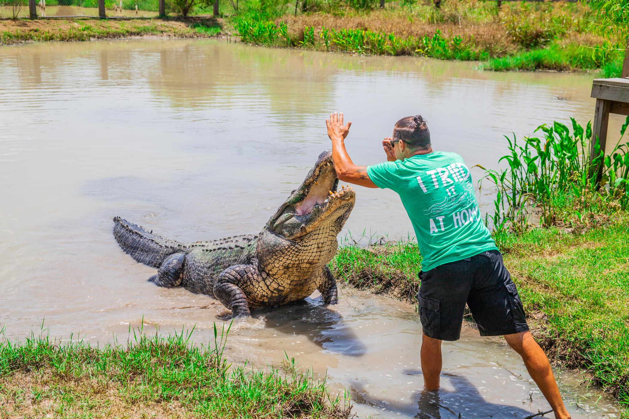 Still surprised by Beaumont? Same. 

#visitbeaumonttx #visitbeaumont #gatorcountry #spindletopboomtownmuseum #birding