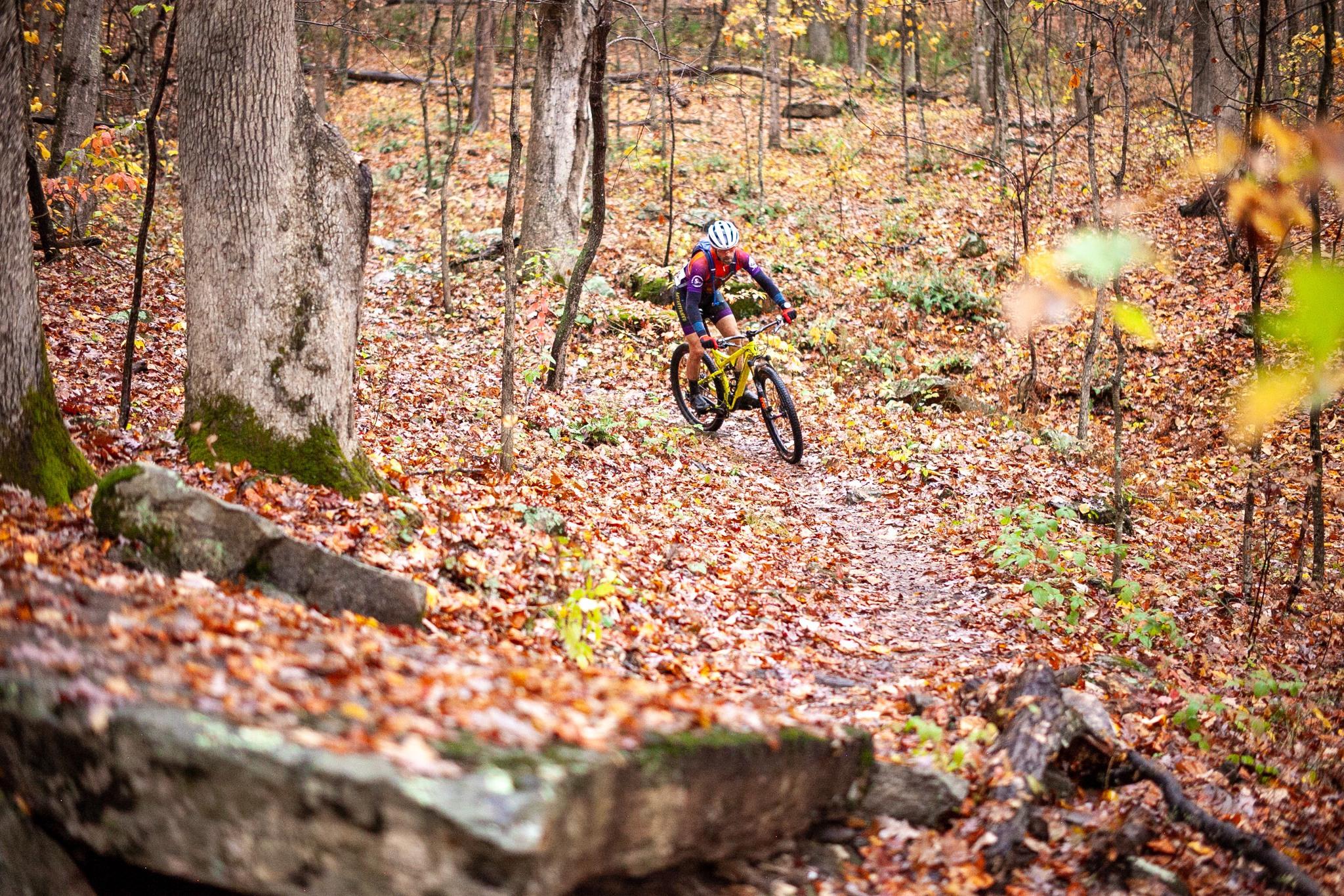 Leaves crunching under the tires = 🎶

Fall is our favorite here in the NRV! Enjoy the colors of our forests on your next adventure in Montgomery County!

#VisitNRV #GoToMontVA #LoveVA