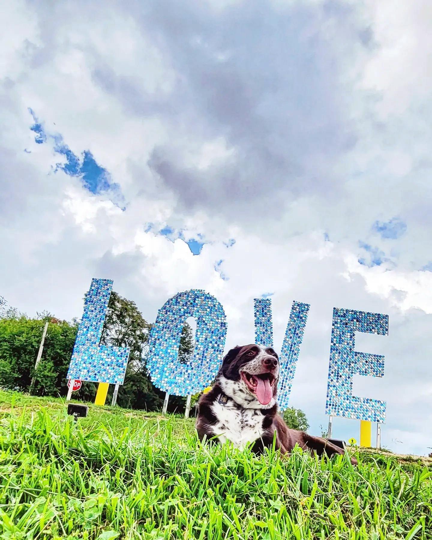 Spend some time exploring the beautiful public art in Montgomery County when you visit us! You can find an interactive map with all the public art within the county and two towns (Blacksburg and Christiansburg) through the link in our bio!⁠
⁠
⁠
#publicart #gotomontva #travelgram #blacksburg #christiansburg #loveworks