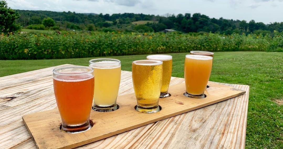 Today is National Trivia Day! Did you know there are tons of places to play trivia in Montgomery County? 622 North in Blacksburg offers weekly trivia and many of the breweries in the area host trivia nights as well as live music and other fun events!⁠
⁠
⁠
#trivianight #craftbeer #blacksburg #christiansburg