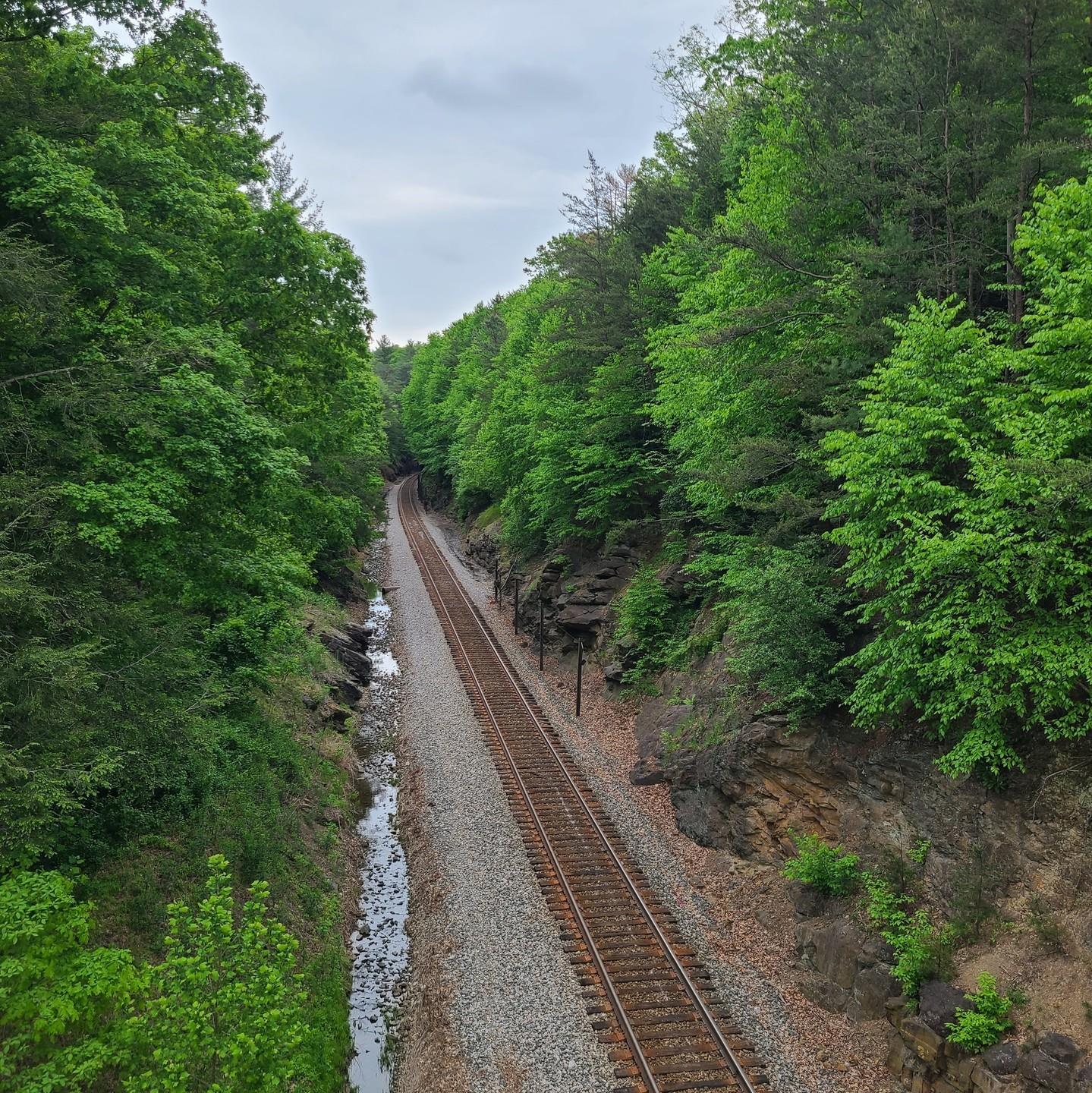 Hidden gems of the MontVA await you on the Huckleberry Trail! On this portion just off the Coal Miner's Heritage Park, you can enjoy stunning views of the Virginian Railway Heritage Trail while you explore. Tag a buddy to join you and start planning your adventure today! 🚂🌲⁠
⁠
#HuckleberryTrail #GoToMontVA #visitMontVA #RailHeritage
