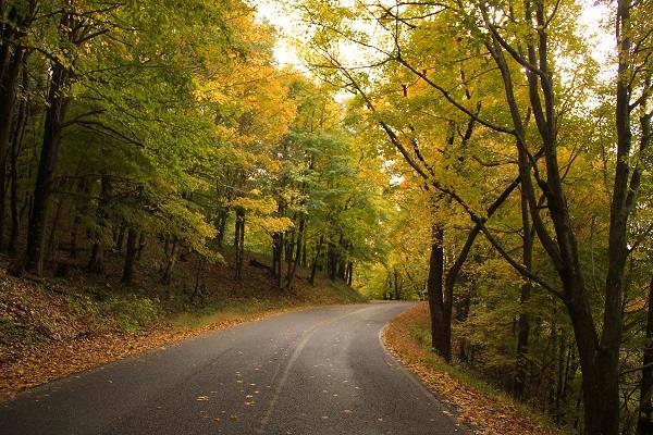 It's that time of year! Enjoy the ride here in the New River Valley!

#VisitNRV #GilesCoVA #LoveVA