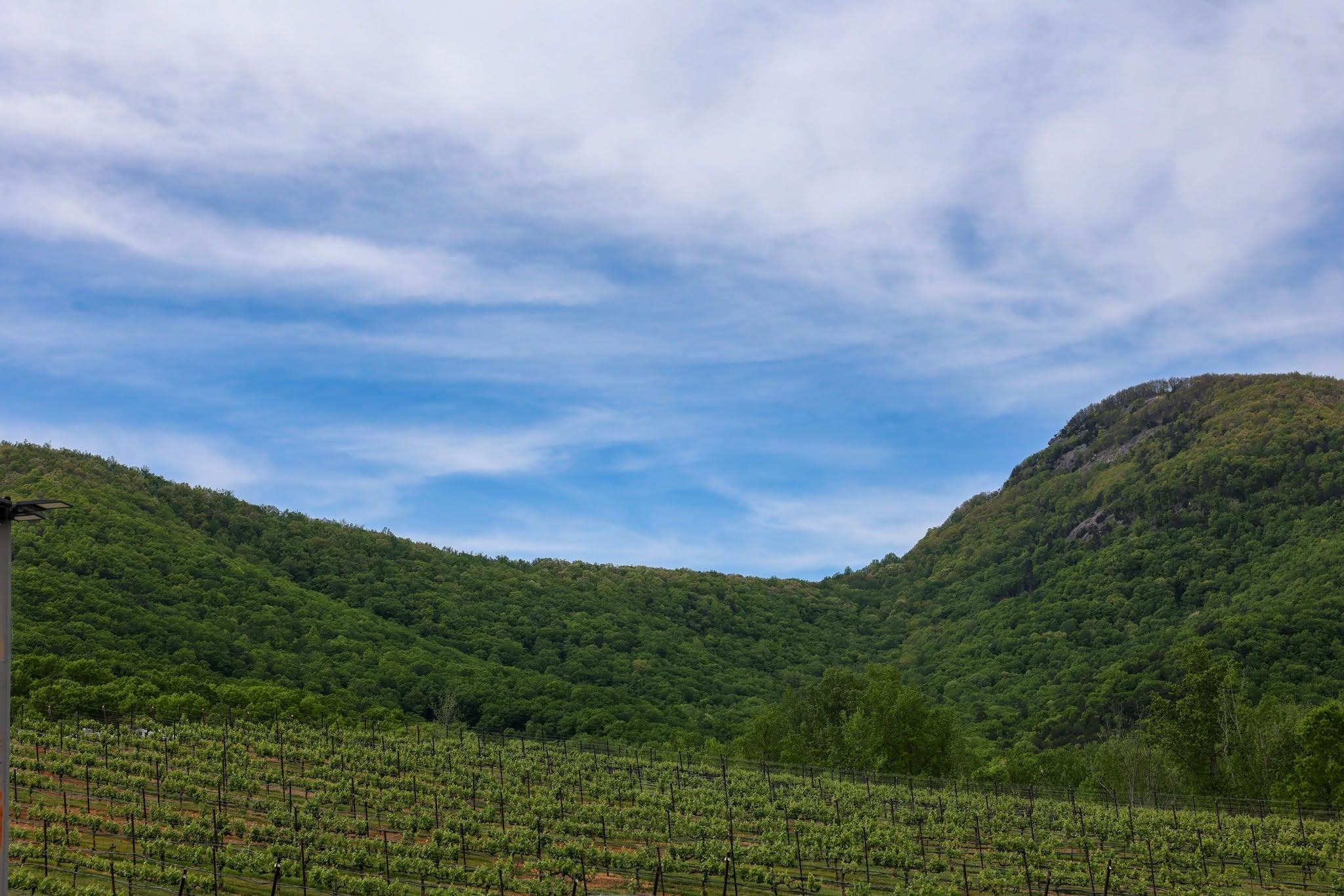 Escape the noise and settle into something a little slower this week at Yonah Mountain Vineyards 🍷✨

Join us for a relaxing weekend filled with good wine, great food, and live music against the backdrop of the mountains.

🍇 Owners’ Winery Select Tour
Saturday, April 25th at 2:00 PM
Book your tour: Click link in bio

🍴 Food Truck Schedule
Friday: 12:00 PM - 7:00 PM
Saturday: 11:00 AM - 7:00 PM
Sunday: 12:30 PM - 7:00 PM

🎶 Live Music: Saturday & Sunday

Bring your friends, take a breath, and enjoy the view - we’ll have the wine waiting.