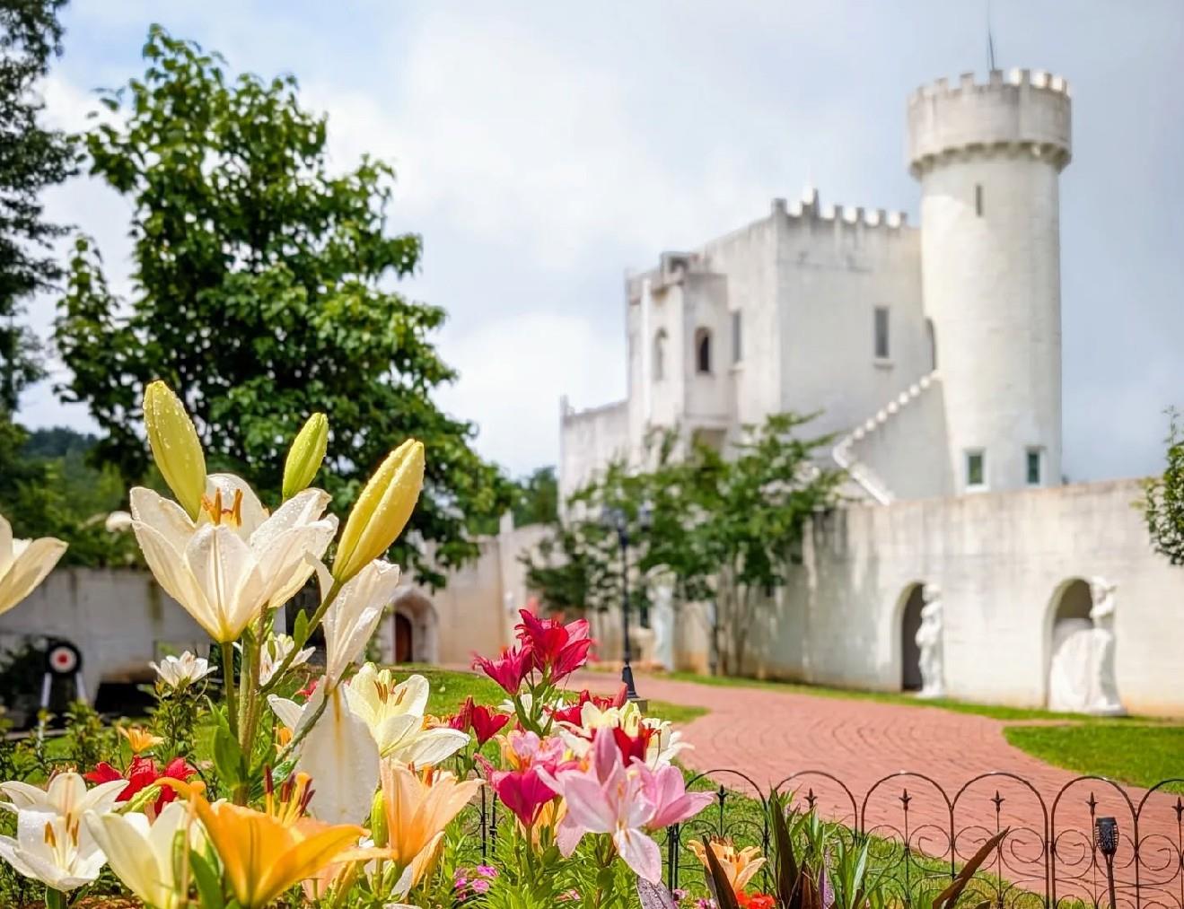You probably didn’t expect this in #AlpineHelenGA. From castles and cabbage patch babies to carriages and coasters--even coffee with capybaras--add something unexpected to your summer plans.

@georgiamountaincoaster 
@cabbagepatchkidsdelivery 
@uhuburg
Pegasus Horse Drawn Carriages

#helenga #northga #travelunexpected #summertravel #hiddengeorgia #exploregeorgia
